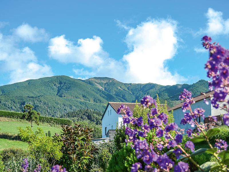 C0FD5B4CD8D0789CD56D90466F094A03