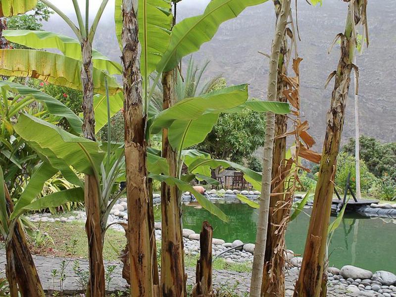 45819F98700E97DE5AA79733A1F4FFC5