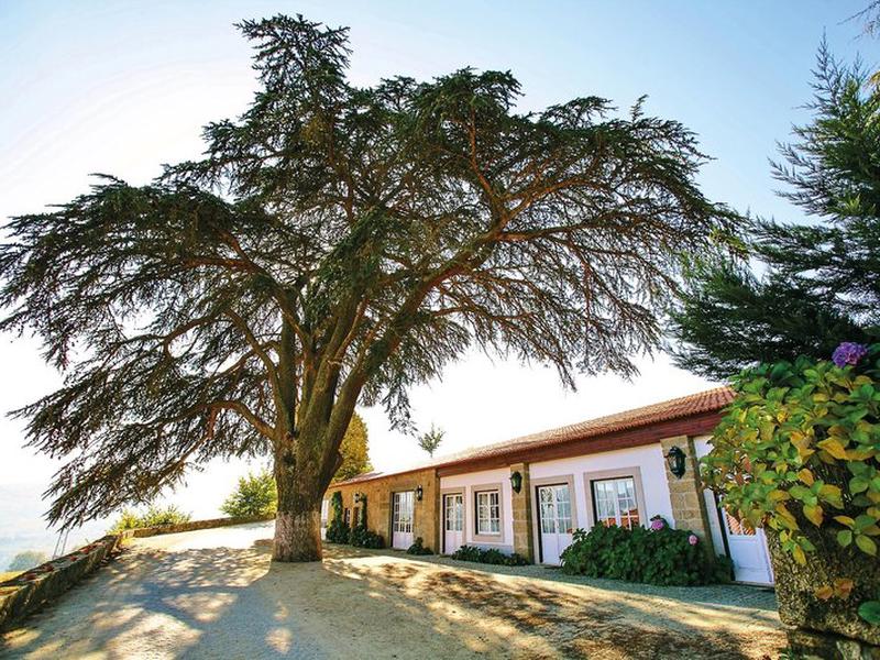 68EFF57C26DBB18085CAB8D3481AA473