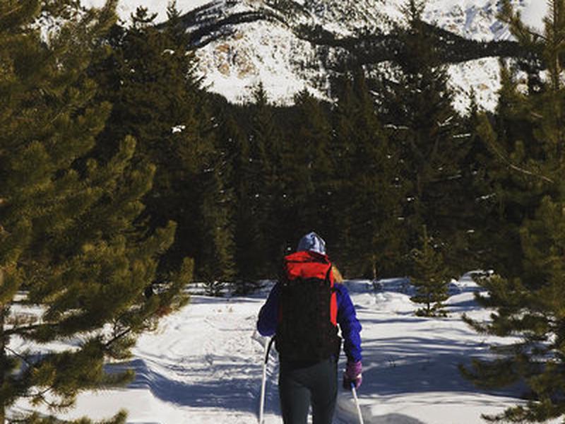 06A6323BAB856A8ADA97F70D1BE6689A