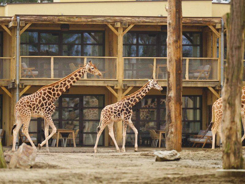 F59C1EFC51DC85FED75A2A8F1AB377C7