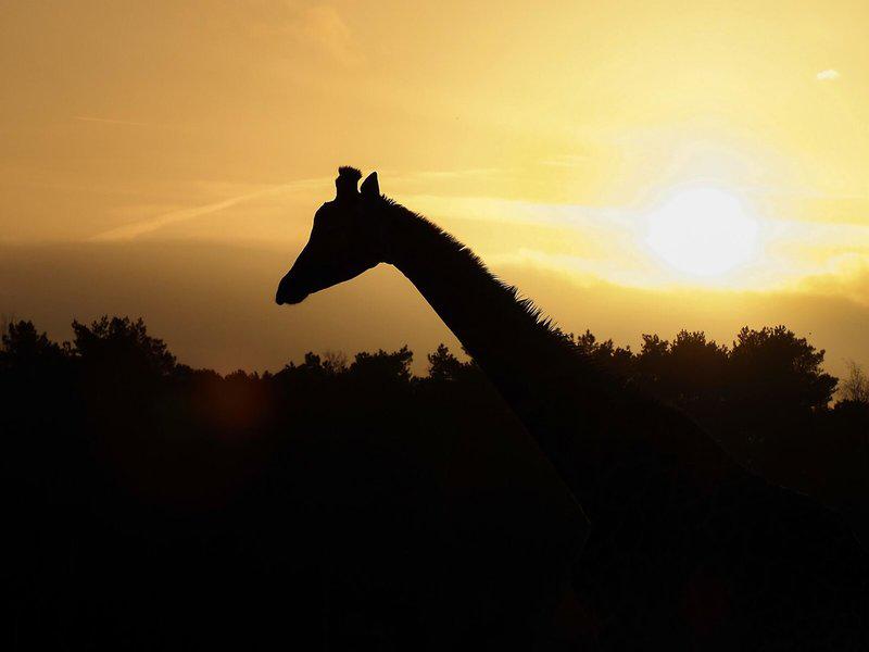 BF40103C3ADBACE0F62273690705B230