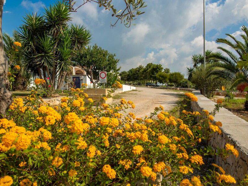 E618123735AE3A1836D6C5E506CFE99A