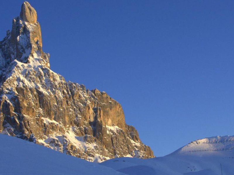 C8440B2DCF8CB8649C1FEF9E15830AF9