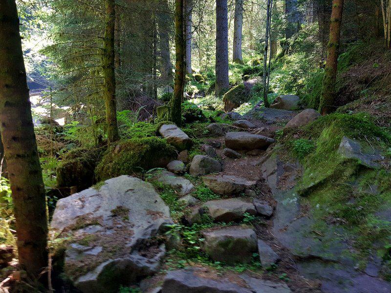 3D87FFE8B7EDA4304084FB95294DD7F1