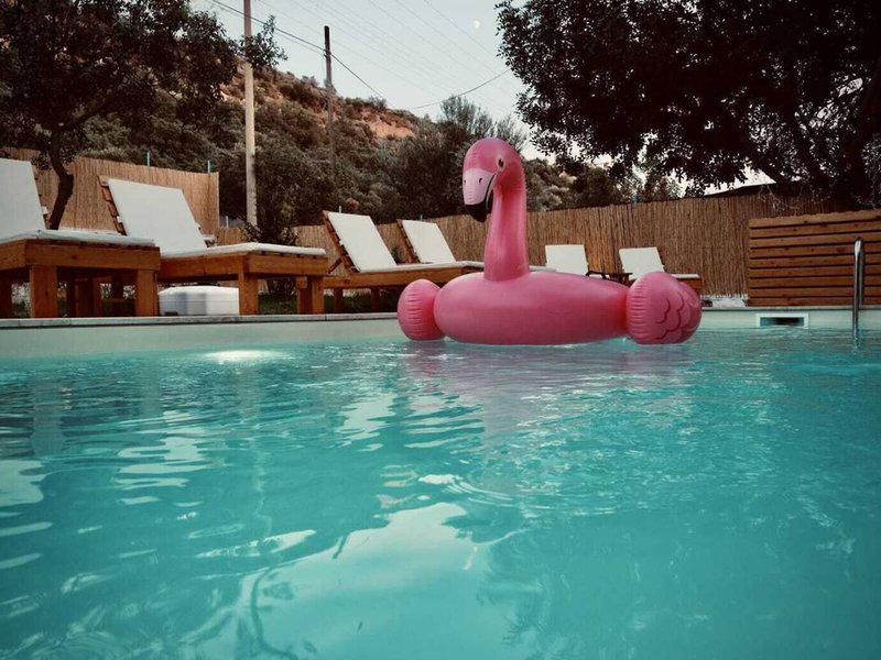 CE2859A652C2EC542495C0F3F6FB1916