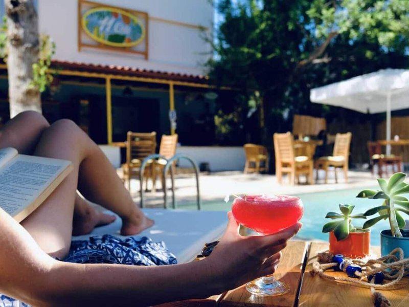 93AE02C1CEDC9339B03AD247DADC15F3