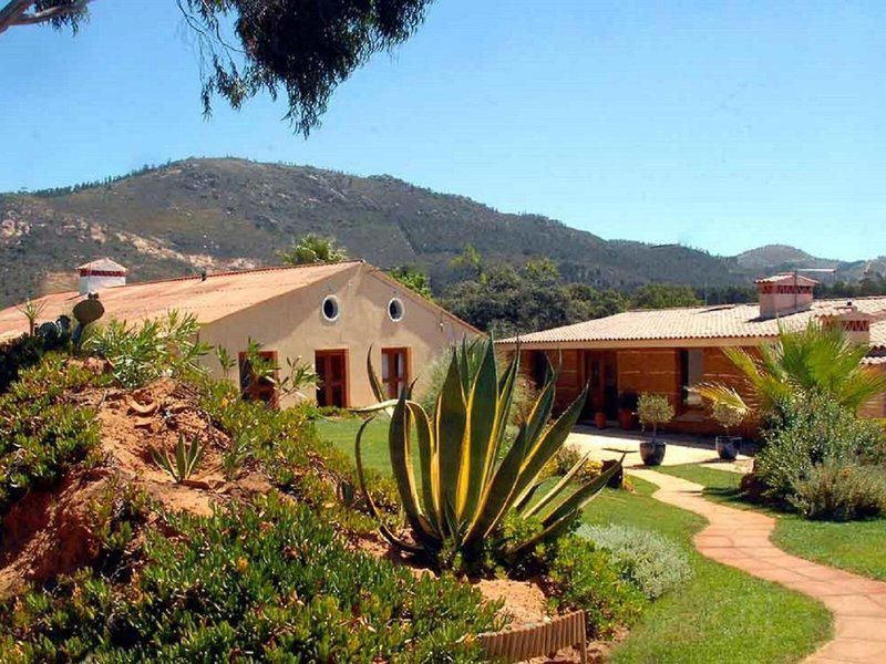 A700CE9238DC2DA7C01453359984A5F3