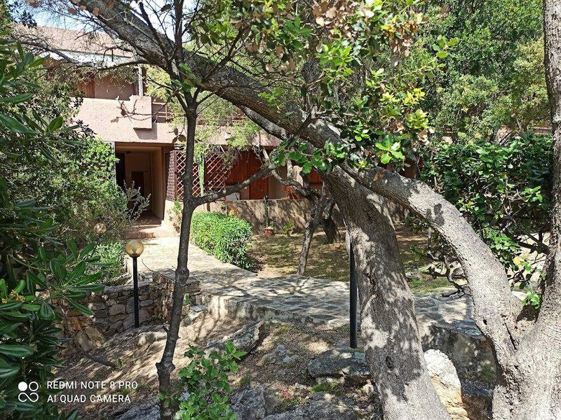 9B4B8656896F403F7342D843EA1274D9