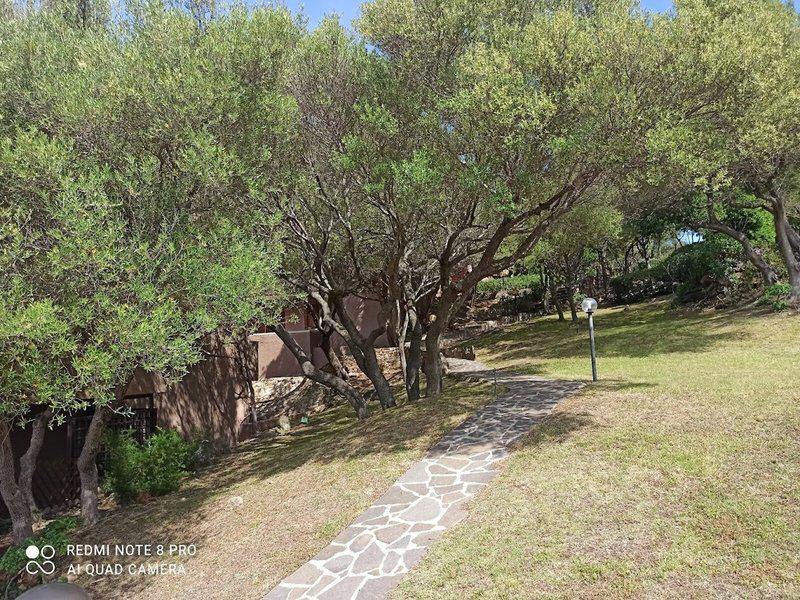 BF39E14684B66A7328028116BCB5A751