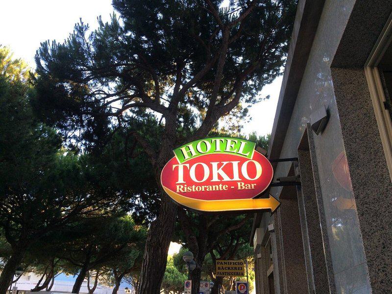 87A9E8F47A0C8EBDAB4684D227C723E2