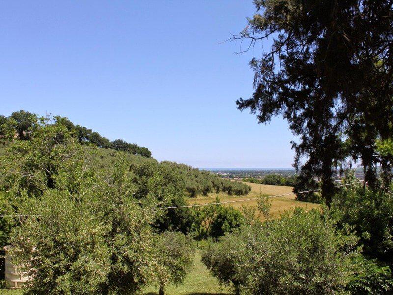 586A106278566B3D8822B09444571A3B