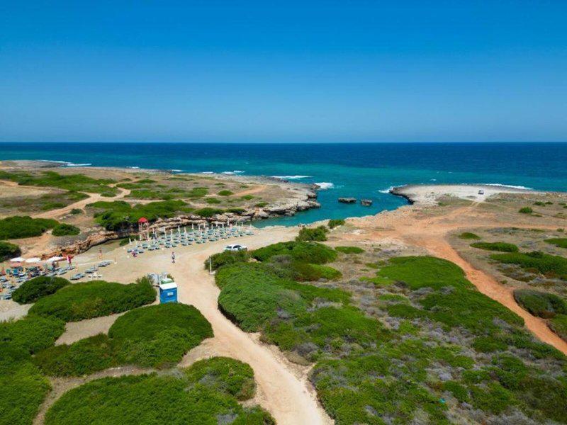 CA3010CB757420B843DFACA66835F075