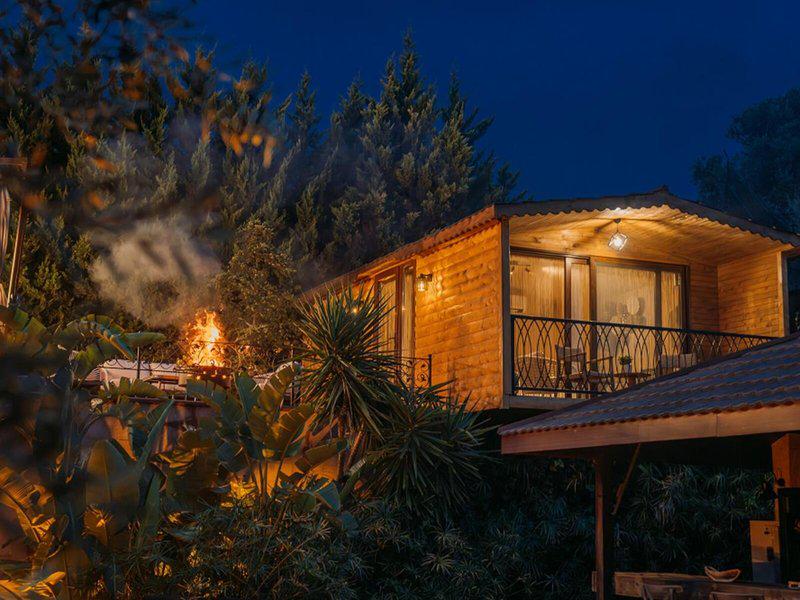 91A6D4AAD42F8B963B59AD074E4DCDC9