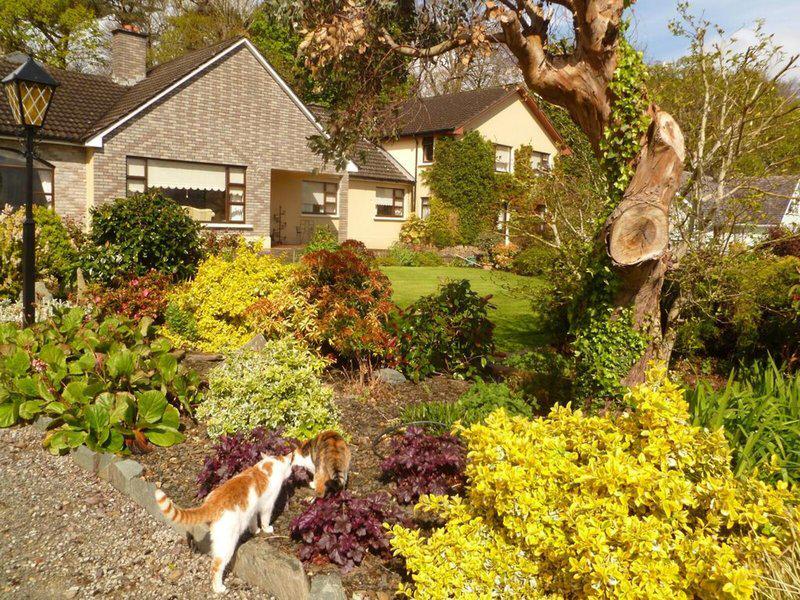 68033A115543C75DEECC6FB19FFC0E82