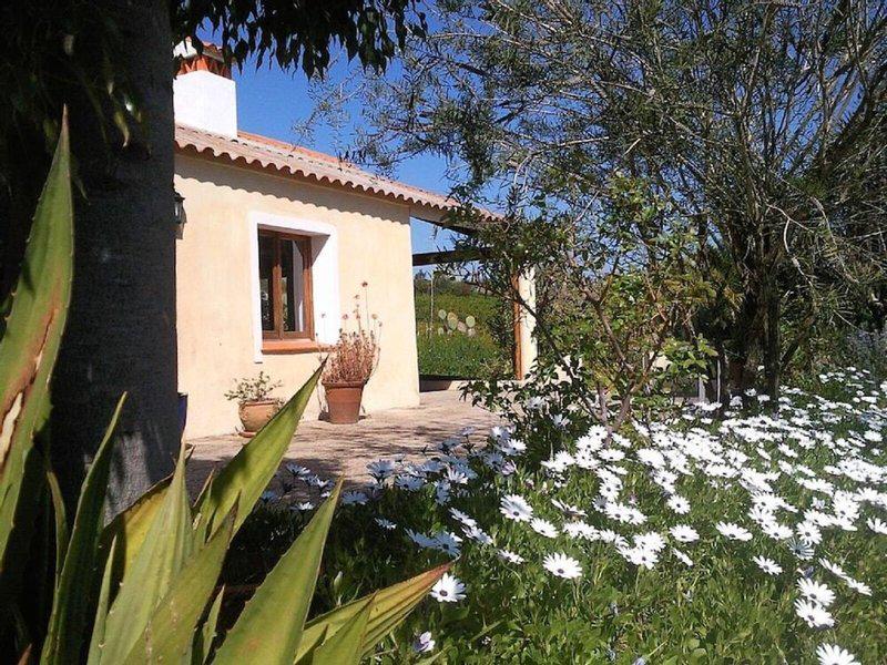 BB8F0AC5E47D7758A691AAC4DA81F077