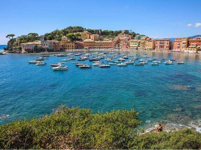 A706AB43857849EA57D15866FBAFAC6B