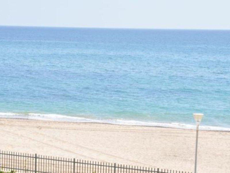 8759AAD77558F78D11D0BC33802995F2