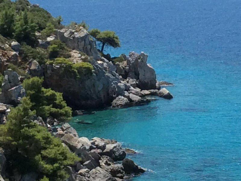 3BA32253A906E4C66B33E22881D52013