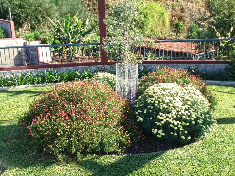 23F38B54C6B29C7C19420170FD0E5BBE