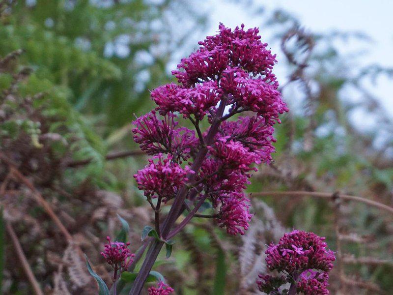 C511DB6C5AC4C4B23F247D6A6522930A