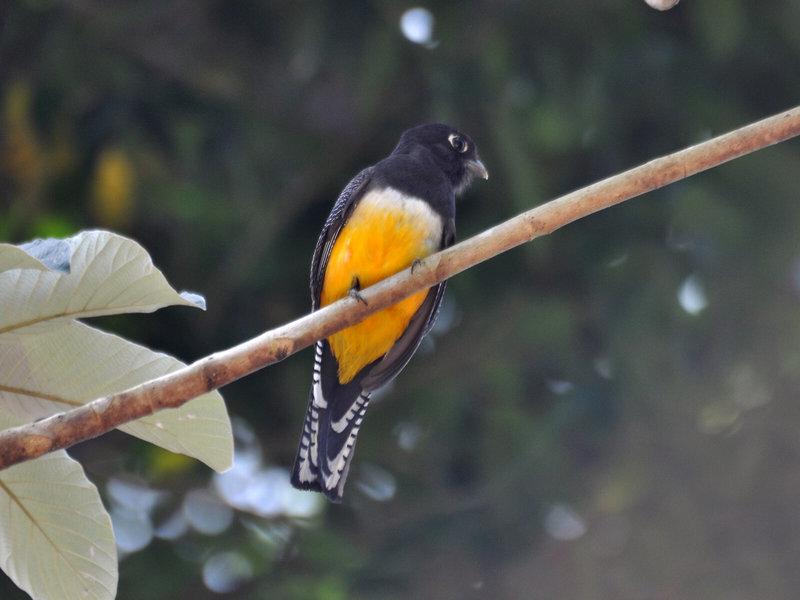 6BAEC0A35227593E7B8131BF910757E0