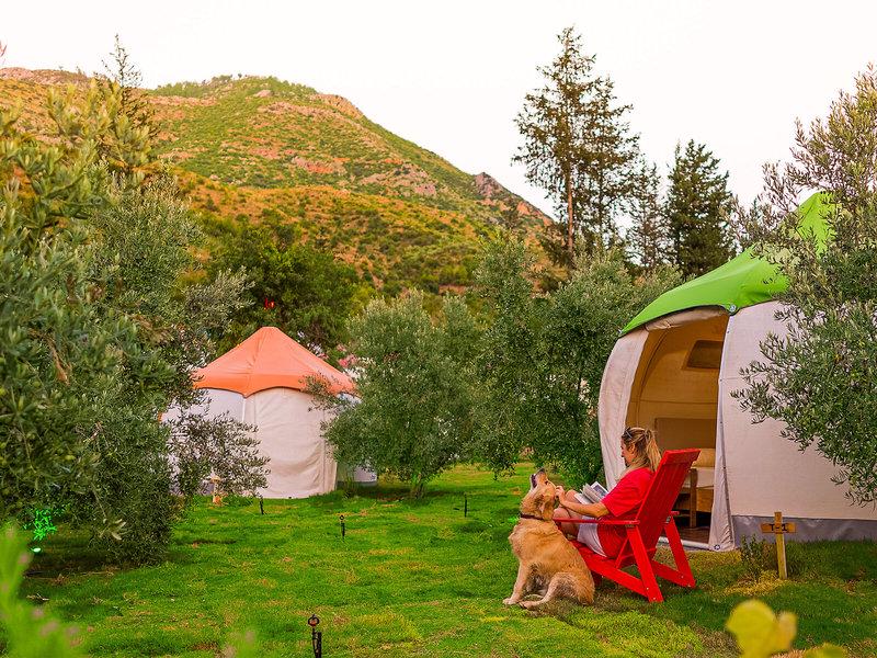 B1D9B340196415D9EEA95BFE16315FDA