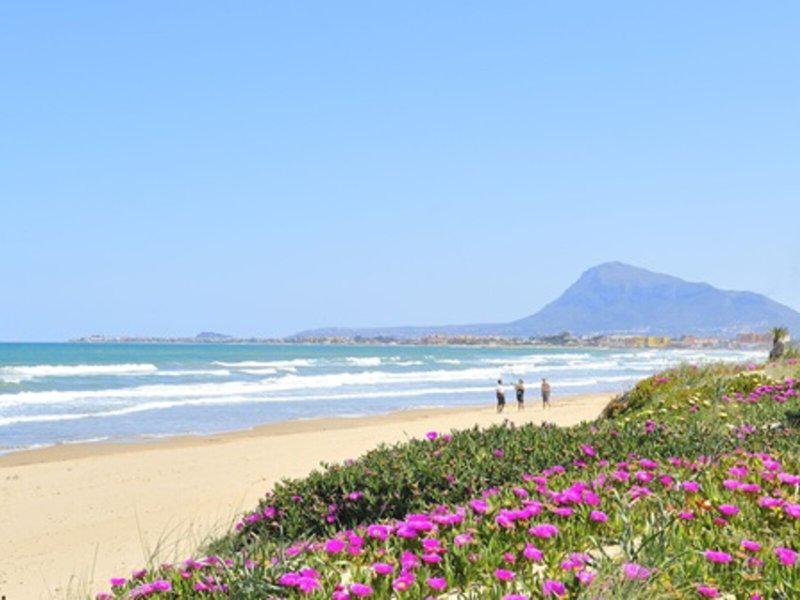 7E1764A66BBE4E1C993AB352FBD252B4