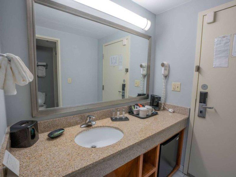 C32A2DBD1C42826442E4D487C9C9060C