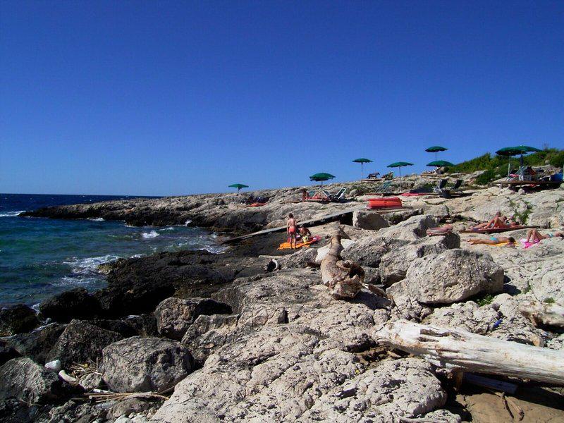 A56D46E906C2284E468F5EDE4DCEF739