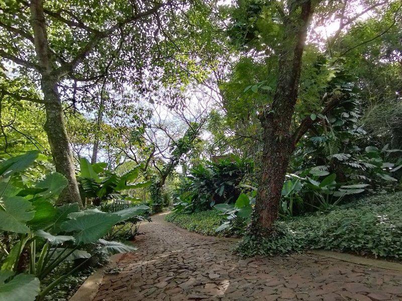 BBD58253A5A3F29492B882A4805F419B