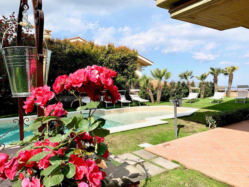 365BA041DE4D1CA139855D8C4C645D02