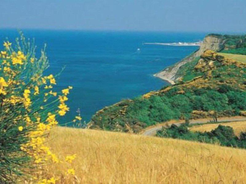 904B7F19631D5ED161ED847A96A6BB83