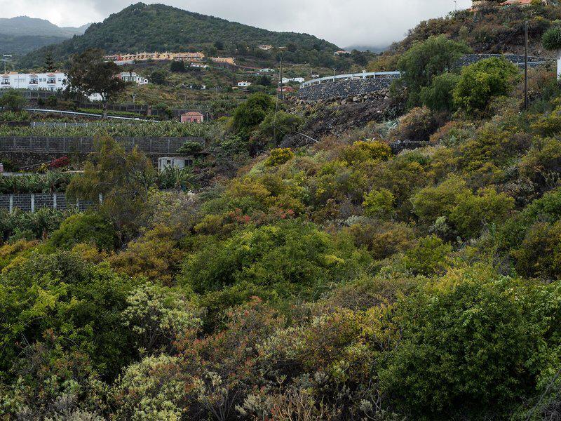 BB3A6807A7B10106305EC33CD24A98FC