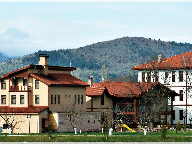 E72AAE5A286C03E795B5B7F7B6B990BD