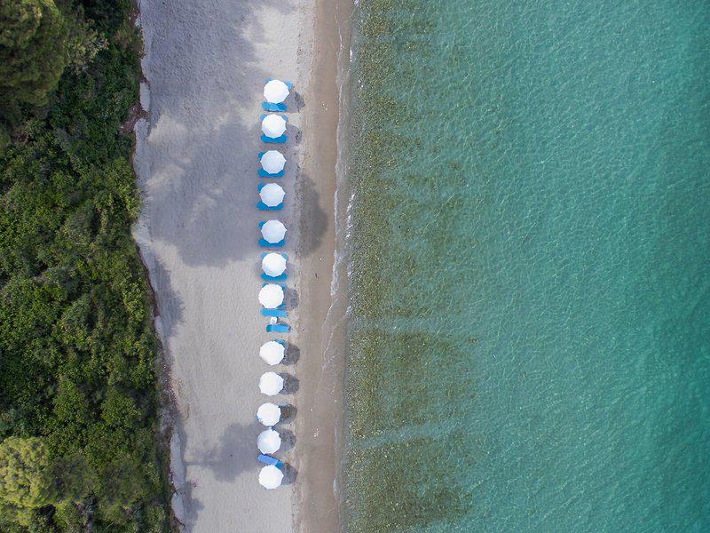 97B88040552242329F95289982D75D3F