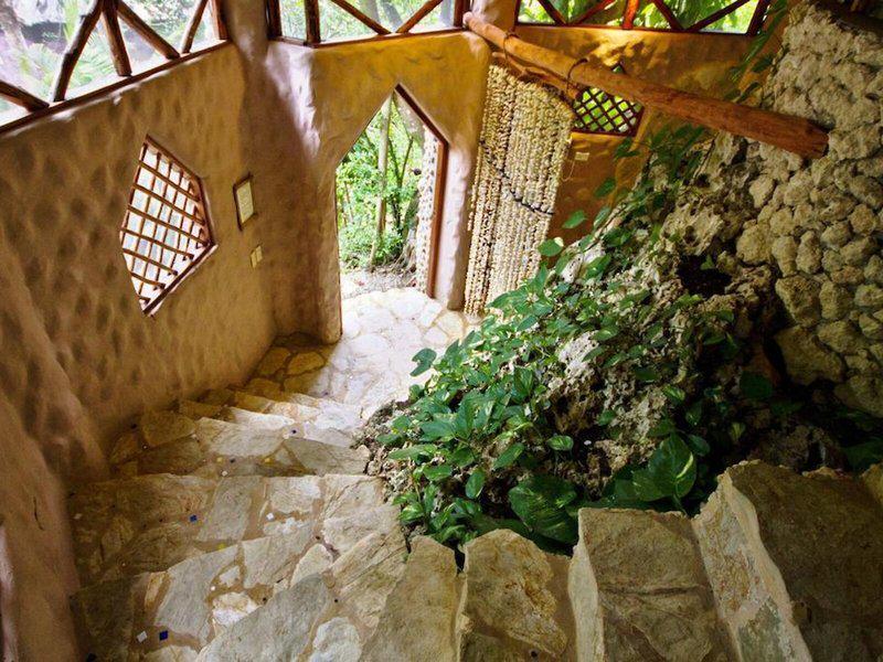 BAC06A85041674BA0E4F16EE967E6CA6