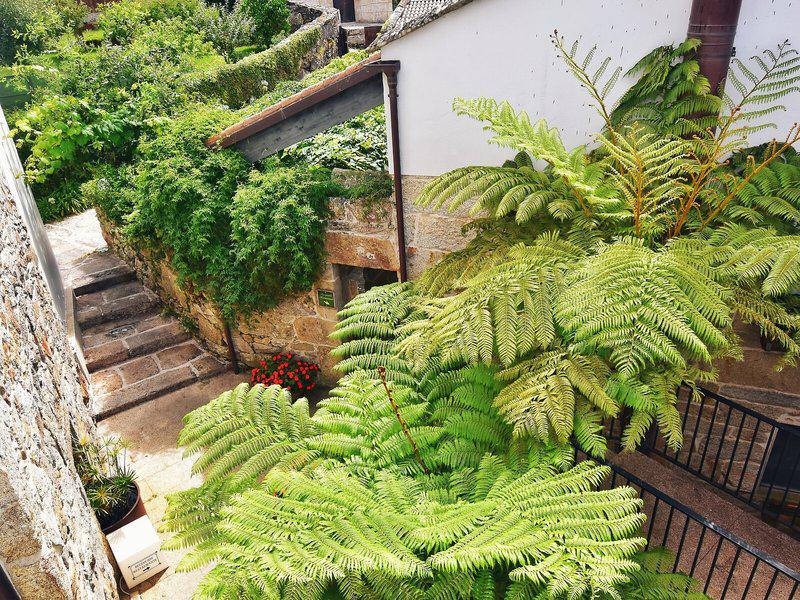 07DC5913CA057901A7305809E4252009