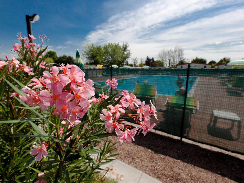 3038E89C04C70D5D6FA53D9BA53F97CF