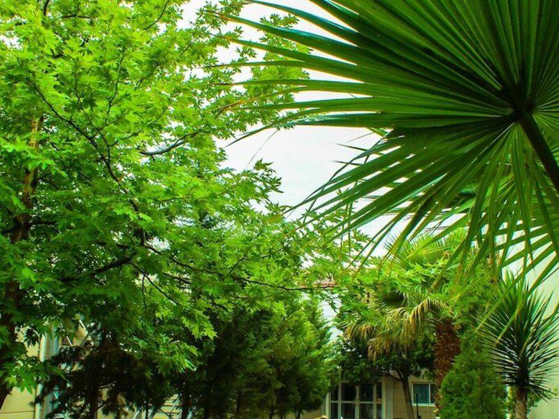 71A16869704DD3C0A010EC362137CFC2