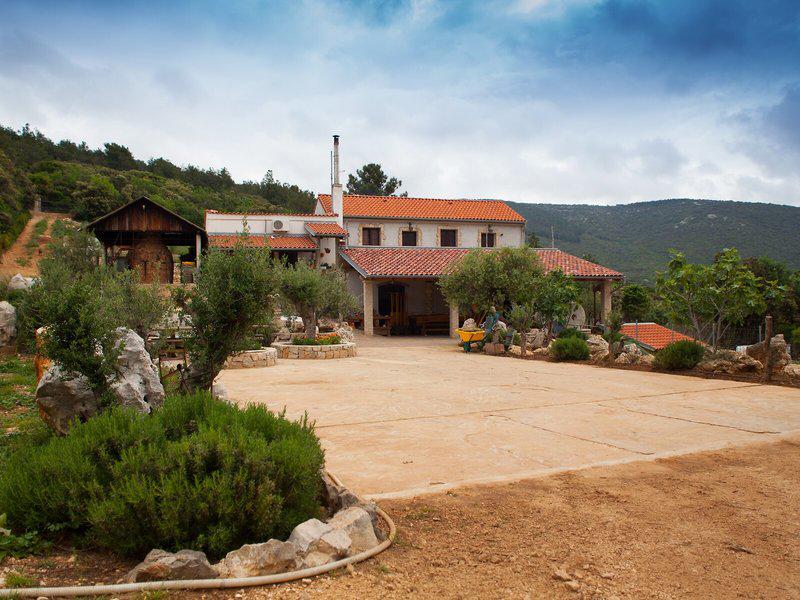 67011236562C99D28B44C38A99E8D784