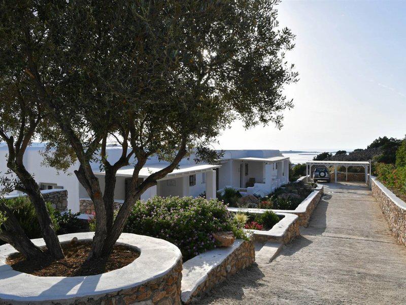 C21614CAD71E1581E3E1653C8336C6C6