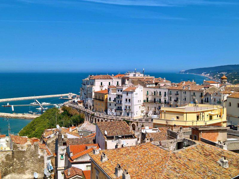 61D5FDE9BBF8D912FF9085D7CE032B47