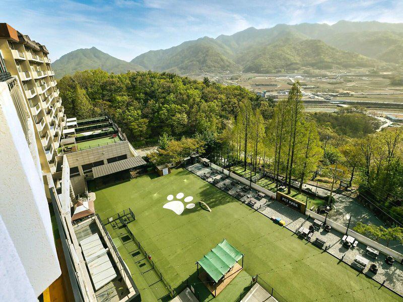 3A958E18B3960DA082ACC9BCA89581E5