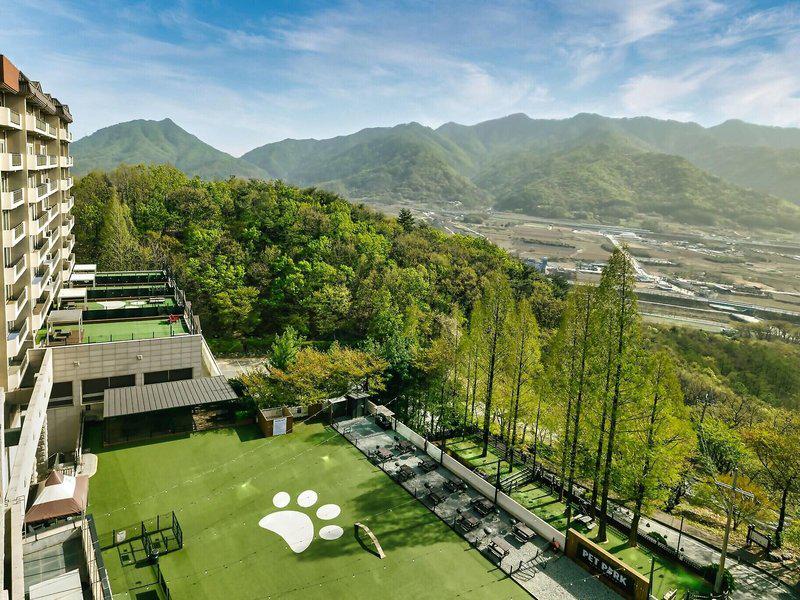 51E9061BCF2372182E1EB36B86A01795