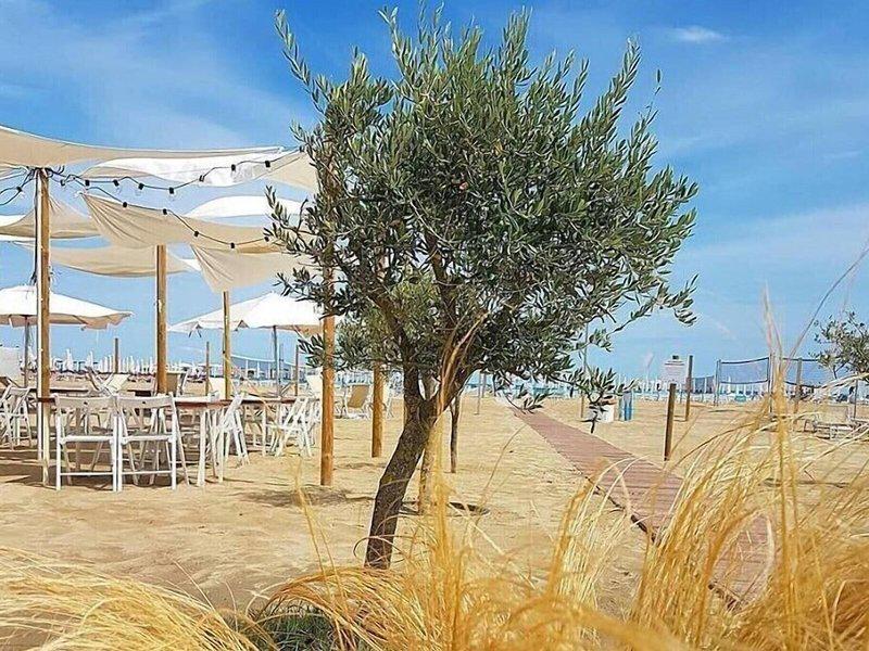 84551F56F98F2742DDAF875039EB6407