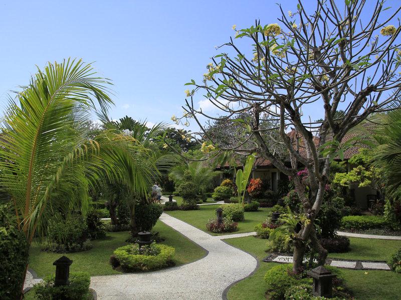 DED1B9C290C6CCC510C183B1B3879800