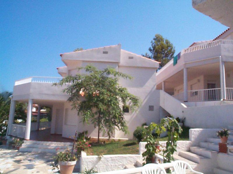 42983885FEAB39E302B6B32B676A619A