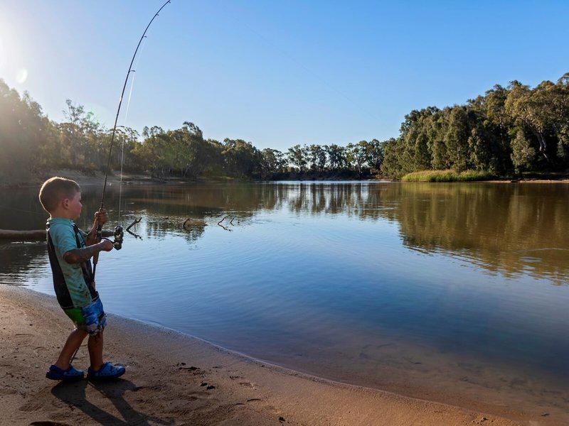 BBDC202547228992FDA73DAC1AFC28E3