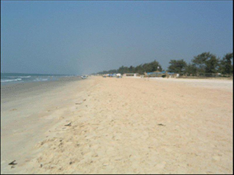 C3F73C2B9E11C50284E1EEB65C30E7CE